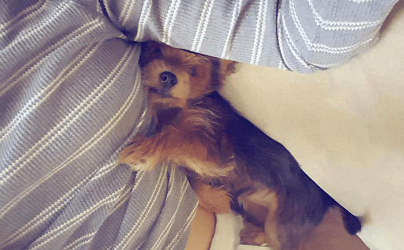 Sleep