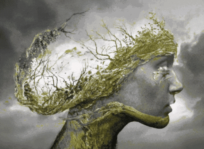The Tree and&nbsp;Me