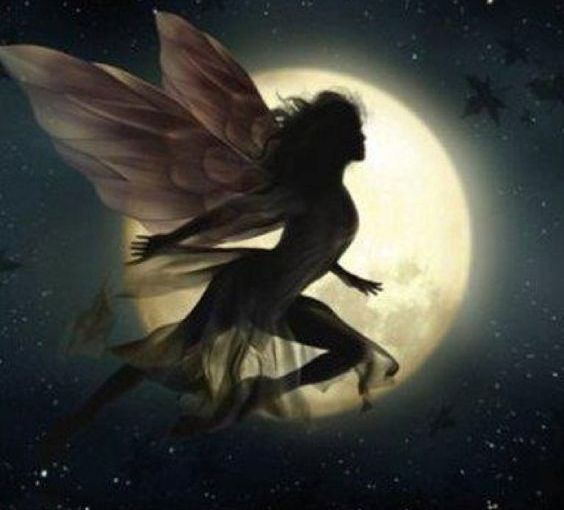 Missing Wings