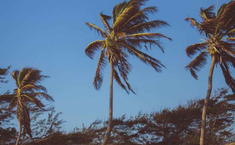 Winds and Memories
